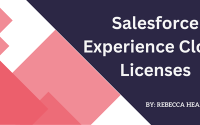 Salesforce Experience Cloud Licenses
